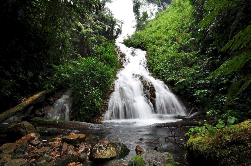 Отель Sanctuary Gorilla Forest Camp Ntungamo  Экстерьер фото